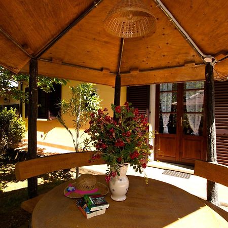 Agriturismo I Cerroni Montescudaio Buitenkant foto