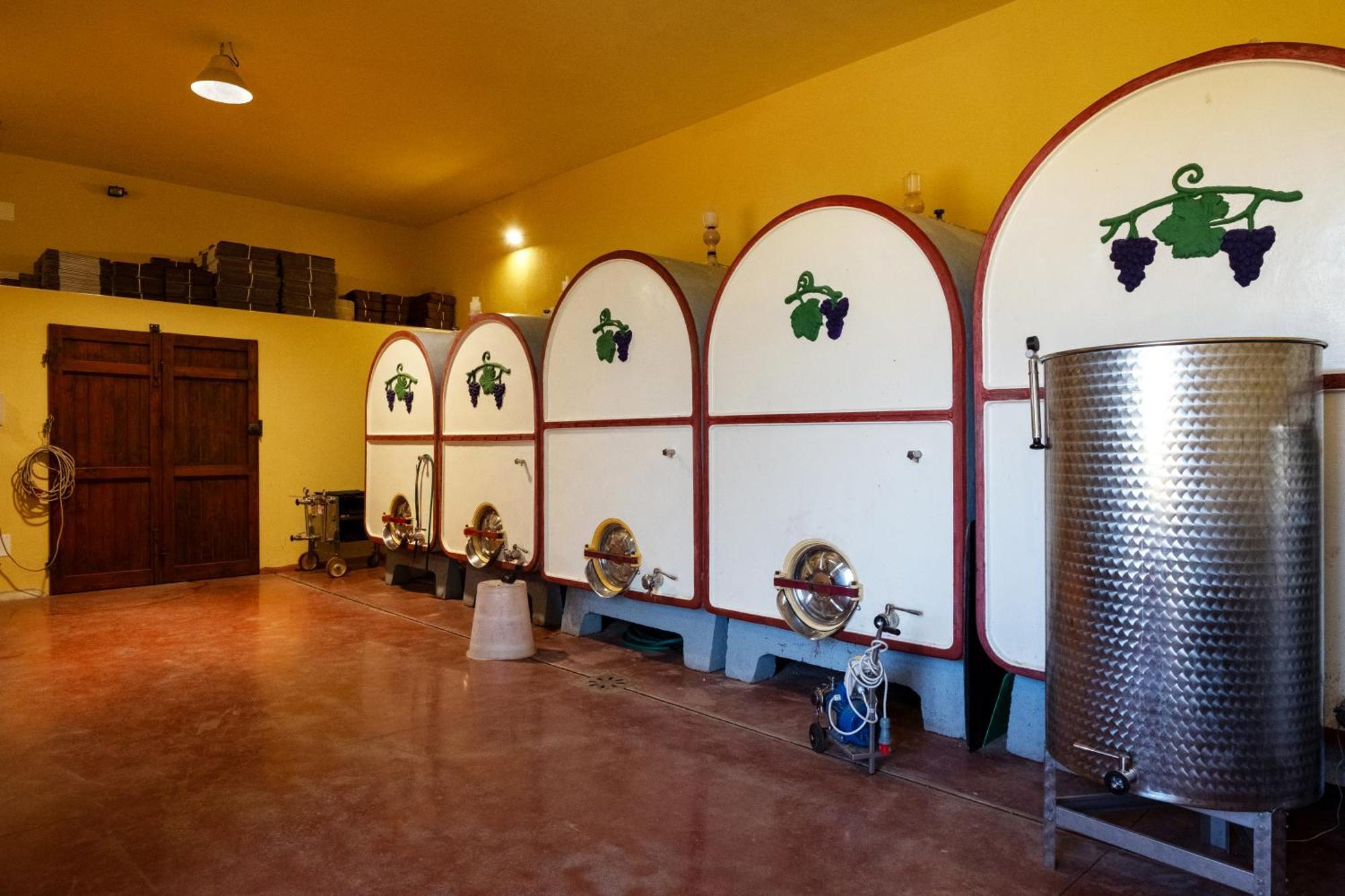Agriturismo I Cerroni Montescudaio Buitenkant foto