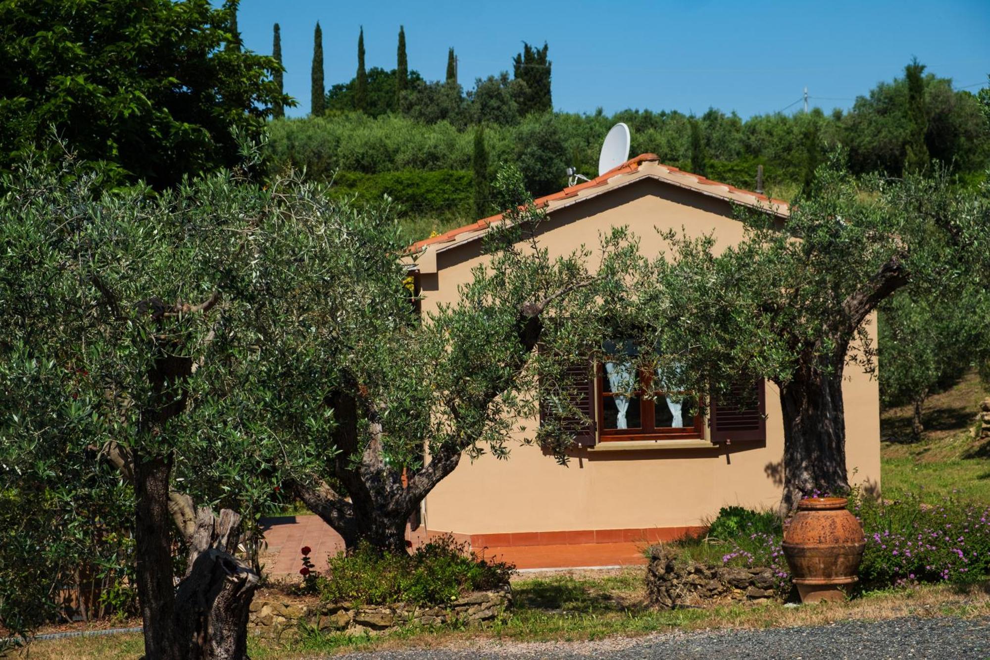 Agriturismo I Cerroni Montescudaio Buitenkant foto