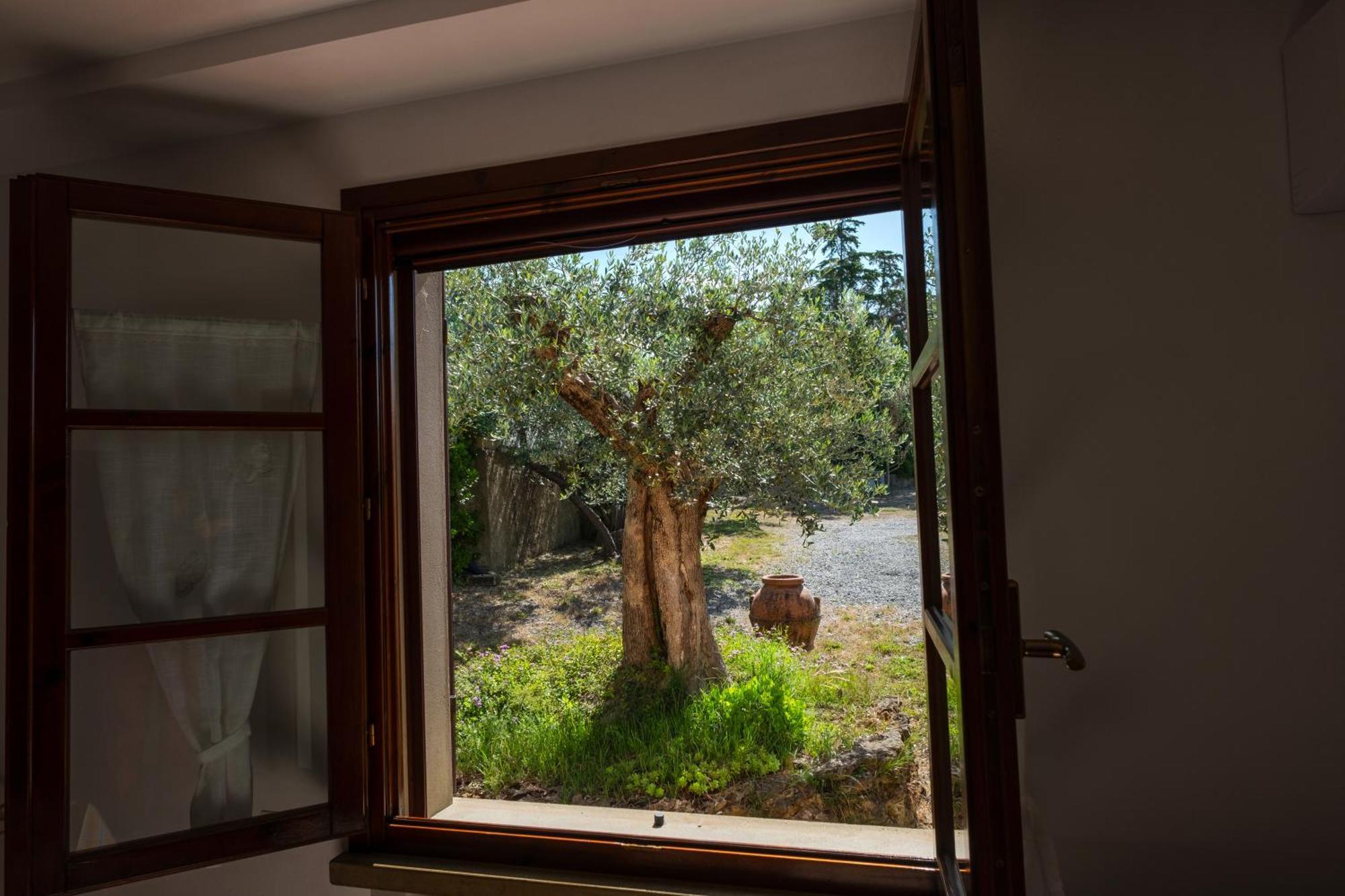 Agriturismo I Cerroni Montescudaio Buitenkant foto